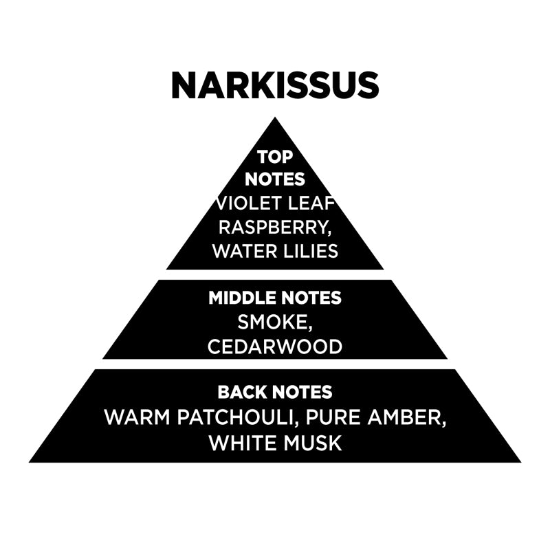 Αρωματικό Χώρου Narcissus 100ML/200ML