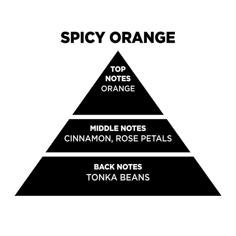 Wax Melt Χειροποίητη Αρωματική Μπάρα Σόγιας 55gr Spicy Orange