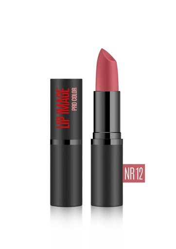 Lip Stics LIP IMAGE Pro Color Satin Intensive Pigment
